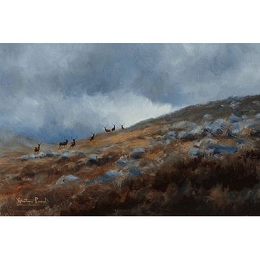 Stags Moving On The Hill by Alastair Proud