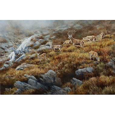 And The Mist Came Down, Stag and Hinds by Alastair Proud