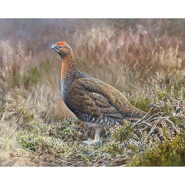 Still Glorious by Alastair Proud