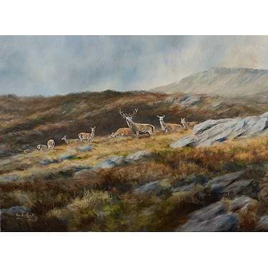 Stags and Hinds Above Loch Maree by Alastair Proud