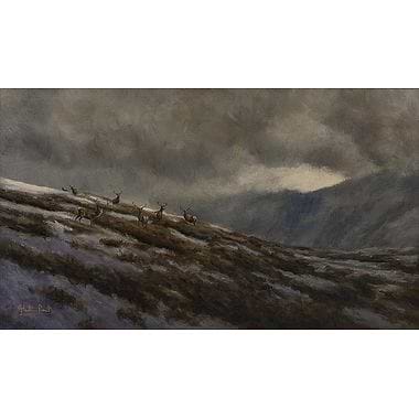 Stags on the Hill, Snow in the Air by Alastair Proud