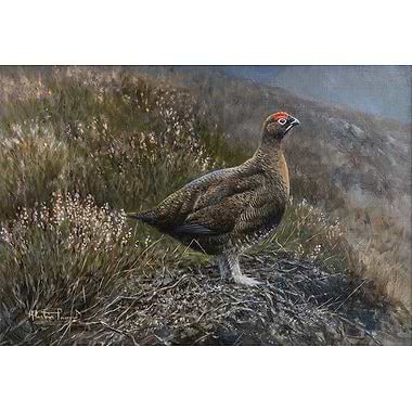 Amongst the Heather by Alastair Proud