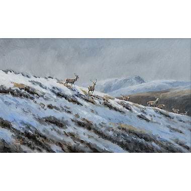 Snow on the Top - Stags on the Move by Alastair Proud