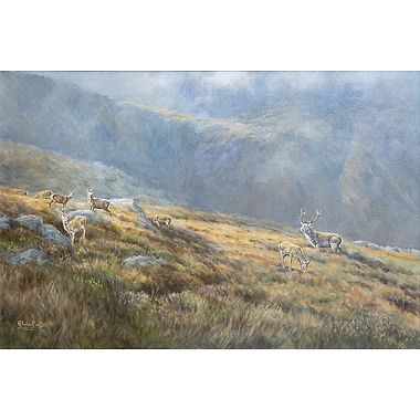 Towards the Lairig Ghru - Stags and Hinds by Alastair Proud