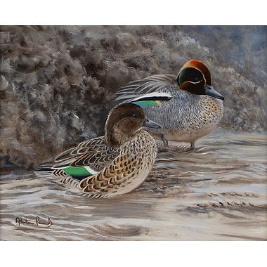 Teal Resting by Alastair Proud