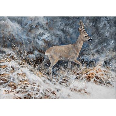 Hard Weather - Roe Buck by Alastair Proud