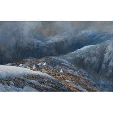 Ptarmigan on the Snow Line by Alastair Proud