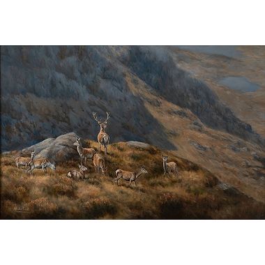 Challenge from Lower Ground Stag and Hinds by Alastair Proud