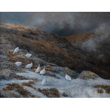 On the Edge, Winter Ptarmigan by Alastair Proud