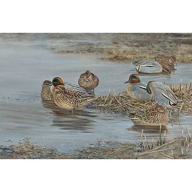 Glorious Mud & Gathering Teal by Alastair Proud