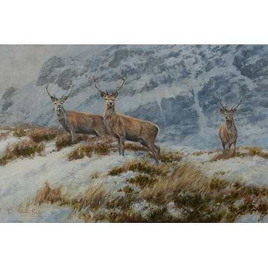 Snow on the Hill, Stag on the Move by Alastair Proud
