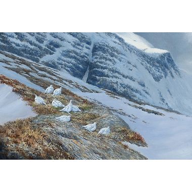 On the Slopes of Beinn Dearg, Ptarmigan by Alastair Proud