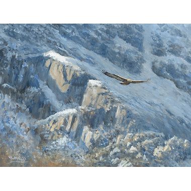 Hunting the High Ground, Golden Eagle by Alastair Proud