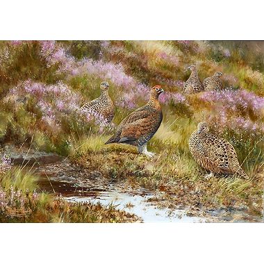 Amongst the Blooming Heather by Alastair Proud