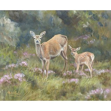 August Hind & Faun by Alastair Proud