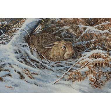Down in Bracken - Winter Hare by Alastair Proud
