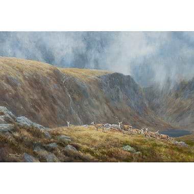 Passing Sunlight, Stag and Hinds by Alastair Proud