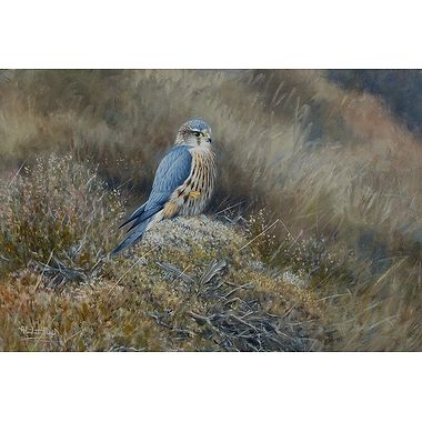 Return to the Moor, Jack Merlin by Alastair Proud