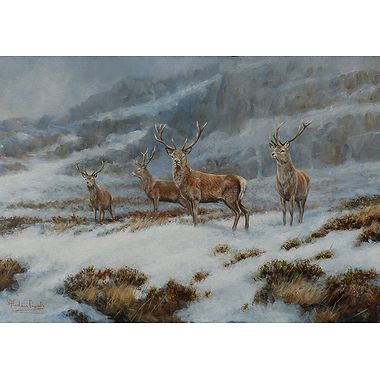 Winter Stags by Alastair Proud