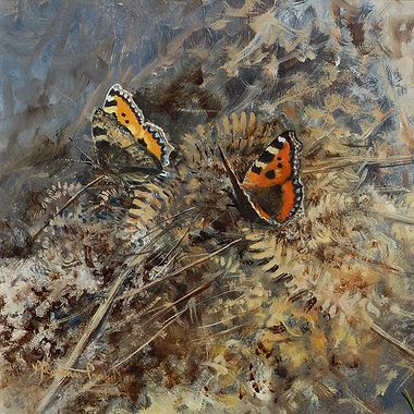 Last Embers of Summer, Tortoiseshell Butterflies by Alastair Proud