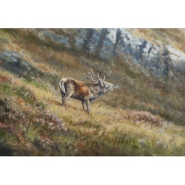 First Roars of Autumn by Alastair Proud