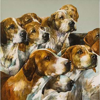 Dashwood by Paula Vize