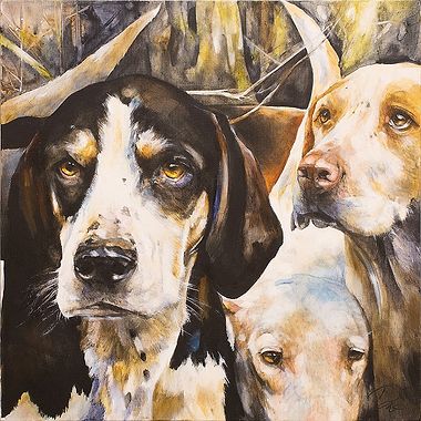 Dashwood by Paula Vize