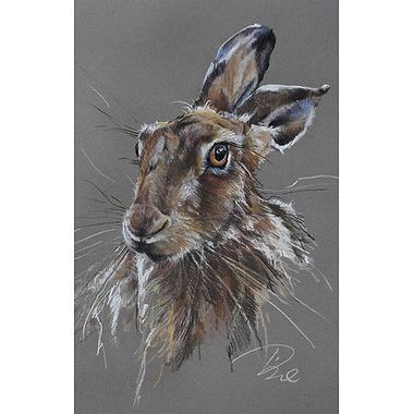Jack the Rabbit by Paula Vize