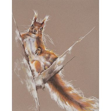 Nutz by Paula Vize