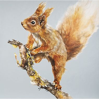 Seeking Red Squirrels by Paula Vize