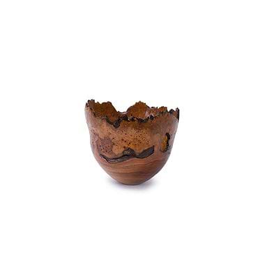 Wet Turned Burr Elm Bowl by Angus Clyne