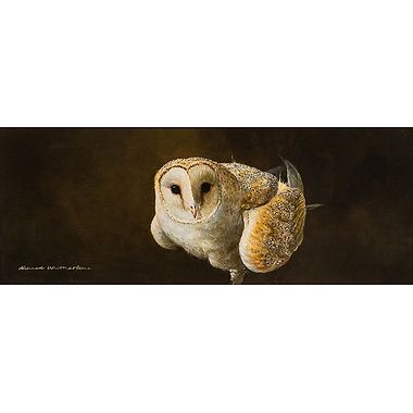 Barn Owl by Richard Whittlestone
