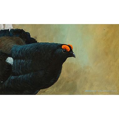 Black Grouse by Richard Whittlestone