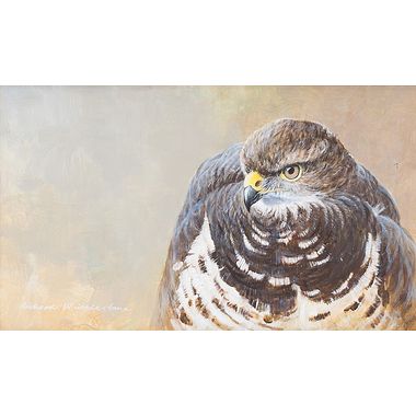 Buzzard Portrait by Richard Whittlestone