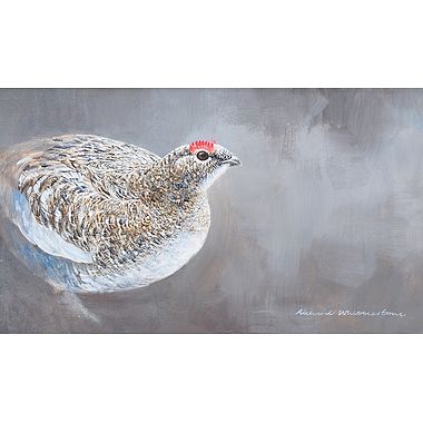 Ptarmigan by Richard Whittlestone