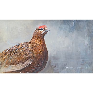 Red Grouse Portrait by Richard Whittlestone