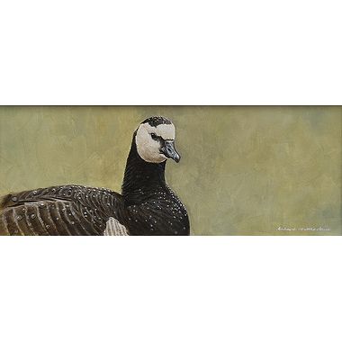 Barnacle Goose Portrait by Richard Whittlestone