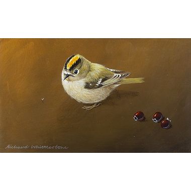 Goldcrest by Richard Whittlestone