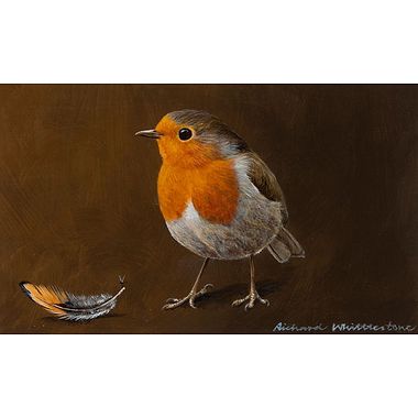 Robin and a Pheasant Feather by Richard Whittlestone