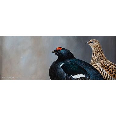 Black Grouse Pair by Richard Whittlestone