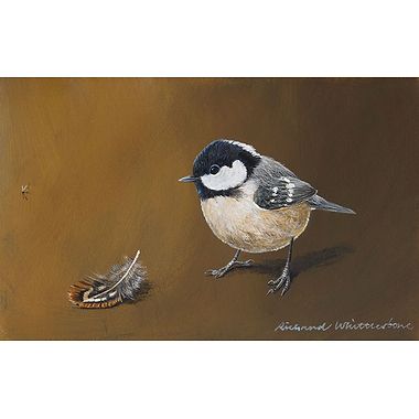 Coal Tit and a Pheasant Feather by Richard Whittlestone