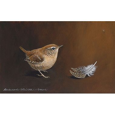 Wren and a Grouse Feather by Richard Whittlestone