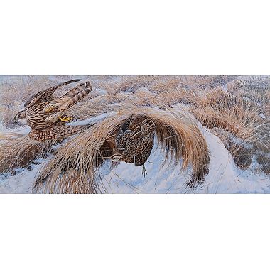 On A Wing and A Prayer by Richard Whittlestone