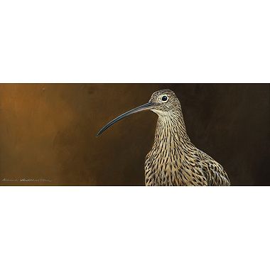 Curlew Portrait by Richard Whittlestone