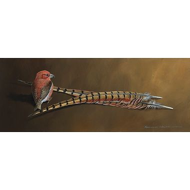 Scottish Crossbill and Pheasant Feathers by Richard Whittlestone