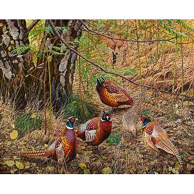 Hidden in Plain Sight by Richard Whittlestone