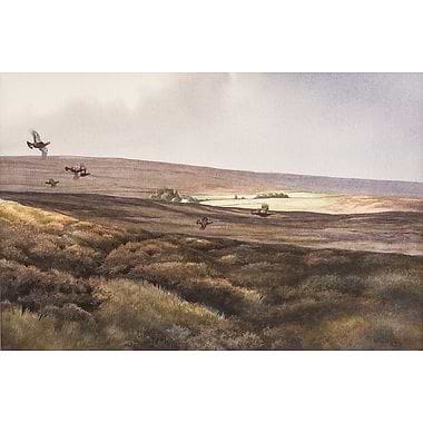 Rain Clearing by Owen Williams