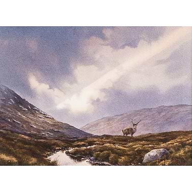 Sunshaft Stag by Owen Williams