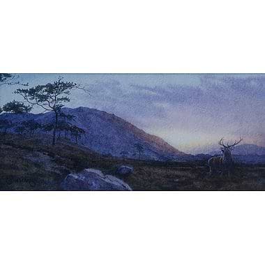 Caledonian Dawn by Owen Williams