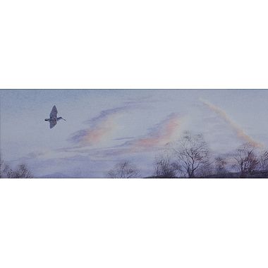 Flighting by Owen Williams